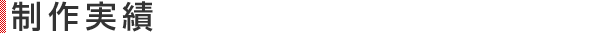 実績